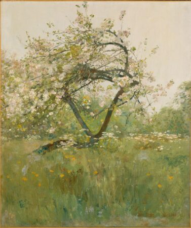 A serene painting of a blooming tree, likely a peach tree, standing gracefully in a lush, sunlit meadow. The delicate pink and white blossoms contrast with the vibrant green of the grass and surrounding foliage. Yellow wildflowers dot the meadow, adding splashes of warmth. The soft, impressionistic brushstrokes create a dreamy, tranquil atmosphere, capturing the beauty and renewal of spring. The background fades gently into a hazy sky, emphasizing the peaceful rural setting.