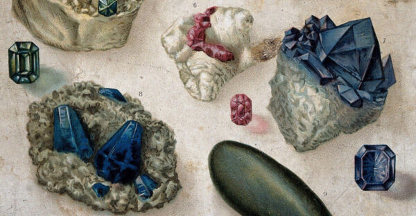 JSTOR Administrator Tools Part 2: Usage and Holdings